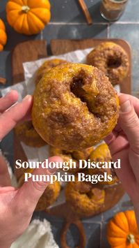 A delicious recipe for Sourdough Discard Pumpkin Bagels - a perfect Fall treat!