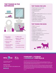 Your medicine cabinet is likely full of pills, capsules, and syrups that could be extremely harmful to your pets. One of the main causes of poisoning of small animals like cats and dogs is exposure to drugs intended for human use.