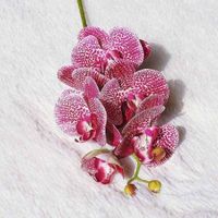  

Description:

This simulated 6-head-bloom Butterfly Orchid stems are available in 5 colors and textures. The PU rubber finish is realistic in texture and look. Add this tall stem to your home or office arrangement, or create an ideal bouquet for your wedding. 

Features:

Forever Flowering 

Fabulous Bloom Designs

Low Maintenance

Specifications:

Flower Type: Orchid

Material:  PU Rubber/Plastic

Number of Flower Heads: 6 heads 

Number of Stems: 1

Total Height of Stem: 70cm or 27.5" tall

Flower Head Diameter: 9cm or 3.5"

Color: variegated tints of Pink, White, and Yellow

Priced Quantity: 1 stem 

#artificialbutterflyorchid #artificialflowers #luxuriousflorals #floralarrangements #artificialfloralarrangements #KaijaeDesignsInc

