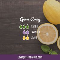 Top 12 Antibacterial Essential Oils - Germ Away Diffuser Blend by Loving Essential Oils