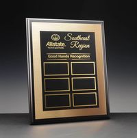 One of the best way to have a perpetual award is a plaque that you can add to month after month or year after year.  #plaque #namedrop #perpetual #award #trophy