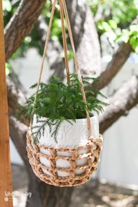 Crochet Plant Hanger - Outdoor Crochet Pattern