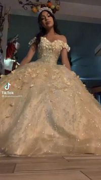 Ball Gown Quince Dress 3D flowers