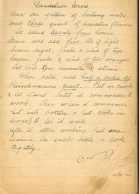 "My Irish Grandmother's recipe for Dandelion Wine"