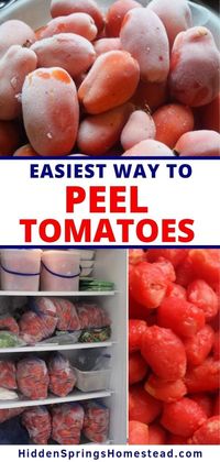 Freezing, The Easy Way to Peel Tomatoes!