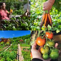 When you do it right, gardening takes less time than you think -- even for first time growers! Check out Stacey Murphy's LIVE class this weekend. Register here: http://growvegetables.ontraport.com/t?orid=100604&opid=206