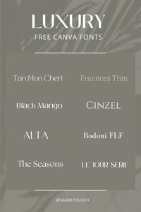 Free Canva fonts for luxury branding. These 7 aesthetic fonts in Canva will elevate your brand and take your marketing designs to the next level ✨