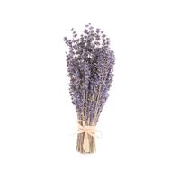 Carefully harvested by hand and dried in bundles, this bouquet of natural lavender showcases the vibrant colours and essence of our lavender all year long.  Place in a vase or other container to brighten up any room, or add sprigs to your own floral arrangements.