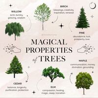 magical trees