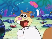 I got "Sandy Cheeks"!