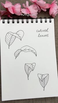 Leaves in different perspectives 🍃 🚀 Step-by-step guide to draw curved leaves is available for download at my online store and Etsy shop 🛍️  . Comment below for link 🔗 or visit the link in bio 🔗 www.artsybeats.com ✨ . Easy-to-follow tutorials and practice templates giving you a wealth of practice opportunities and creative time ✍️  . .  Immerse yourself in the therapeutic and calming experience of drawing ✍️  . Practice mindfulness and relax 😌  . . #artreels #artreel #botanica #perspective #perspectivedrawing #drawinglessons #curvedleaves #coloringbook #leaves #diycrafts #scrapbooking #howtodraw #easydrawing #drawingtutorial #pendrawing #ink #drawing🎨 #zenart #doodlelove  #doodling #cooldrawing #flowerdrawings