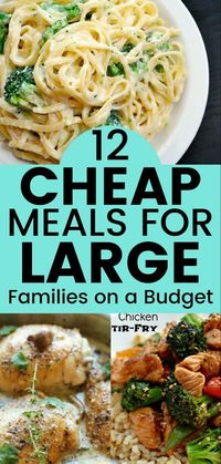 12 Delicious Frugal Meal Ideas for Large Families on a Budget - Balancing Bucks