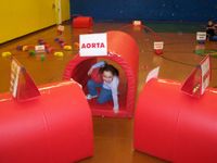 The Heart Course!!!  The best thing about elementary PE besides Gymnastics