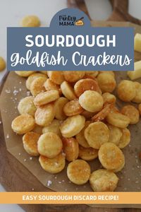 Sourdough Goldfish Crackers (Sourdough Cheddar Crackers)