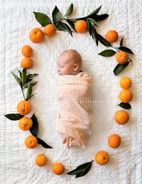 Newborn Baby Boy in Orange Fruit Wreath Frame | Justine Di Fede Photography | Lifestyle