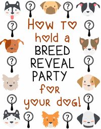 Throwing a dog breed reveal party is a lot of fun, and it's easier than ever now that we have all your essentials here! 🐶 Discover how to set up an exciting dog breed reveal party with our printable signs, unique decorations, and tips on how to reveal your dog's breed to your guests. Get ready for a paw-some party! 💖 Don't miss out on the fun, download immediately!