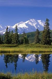 Photographic Print: Mt Mckinley Reflecting in Nugget Pond Denali National Park Interior Alaska Summer by Design Pics Inc : 24x16in