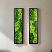 PRICES MAY VARY. Real Moss Coating: Our wall art is meticulously crafted with real moss, bringing the natural beauty of the outdoors into your home. Low Maintenance: No upkeep required! With the natural allure of live plants, this wall art revitalizes your space without the hassle of maintenance. Ecological and Nature-Friendly: Crafted with sustainable materials, this wall art provides an eco-friendly option while enhancing your room with a touch of natural greenery. Contemporary Design: The mos