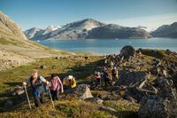 An Explorer’s Guide For How To Visit South Georgia Island