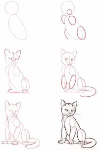 How to Draw a Sitting Cat