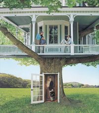 A REAL tree house