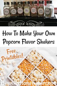 Use these recipes to make 7 Popcorn Flavor Shakers to enjoy with your family and friends!