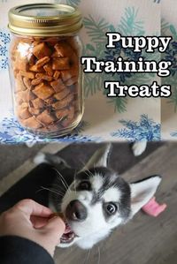 puppy training treats