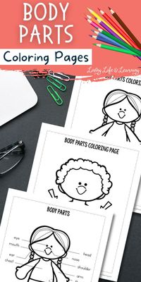 Looking for a way to make learning about the human body more fun? Check out these coloring pages that will teach you all about the different parts of our bodies. From the brain to the stomach, there's something for everyone here! The perfect addition to your homeschool science lessons.