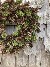 Lime Green And Natural Pinecone Wreath | Etsy