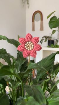 Create a beautiful macrame flower! You will be able to decorate your plants or any corner of your house with a unique piece!💕#macrame #plantas #decoracion #flores #flower #tutorial #diy #craft #artesanias #viral #instagram #reels #video #love #aesthetic #arte #trending #españa #deco #fashion