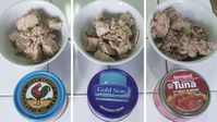 Canned Tuna Review: Which canned tuna makes the best fried rice recipe? - The Singapore Women's Weekly