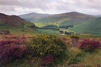 Wicklow mtns