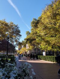 #columbia #ivyleague #fall #college