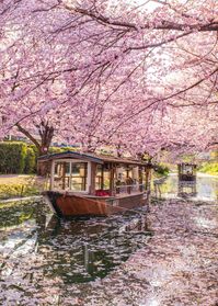 most Instagrammable places in Kyoto