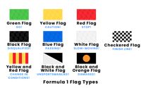 Formula 1 Flag Types