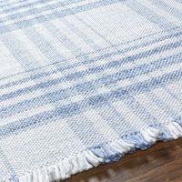 Cay Plaid Handmade Flatweave Recycled P.E.T. Area Rug in Blue/White