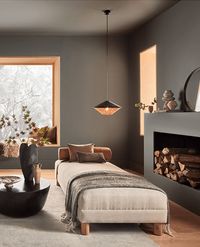 SW 7048 Urbane Bronze paint color by Sherwin-Williams is a Neutral paint color used for interior and exterior paint projects. Visualize, coordinate, and order color samples here.