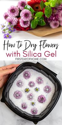 Learn how to dry flowers with amazing results, and preserve your memories for many years to come! Drying flowers with silica gel can take only a few minutes in the microwave or just a few days the conventional way, and the color retention is incredible. #driedflorals #dryingflowers #silicagel #floral #firstdayofhome