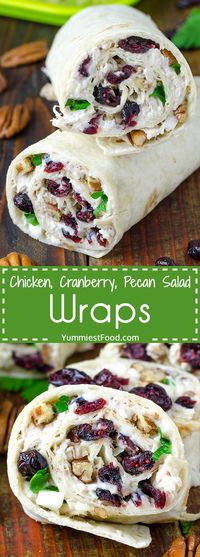 Chicken, Cranberry, Pecan Salad Wraps – Recipe from Yummiest Food Cookbook