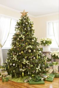 Christmas Tree Ideas - Green Christmas Tree