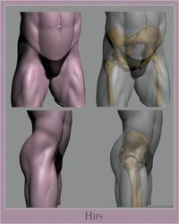 ArtStation - Anatomy Studies - Part 01, Glauco Longhi