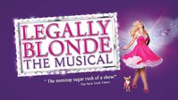 legally blonde font - Google Search