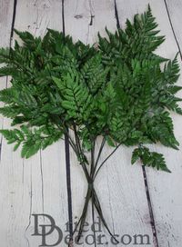 Decorative Leatherleaf The leatherleaf fern is a true fern. The mature fronds are dark green, and then cut and harvested by hand. Our fronds are then preserved to keeps their dark green beauty for years. Whether you are adding a few fronds to one of our ready designed bouquets, or designing an arrangement of your own, leatherleaf ferns will add color, natural beauty and enhancement to your bouquet. Add in some preserved baby's breath for a truly professional looking complete bouquet that will la