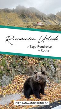 Auf der Suche nach Tipps & Tricks für deinen #Rumänien #Urlaub? Schau dir meinen Routenvorschlag für 7 Tage #Roadtrip durch das Land Vampire an!  #reiseziele #urlaubsziele #reisen