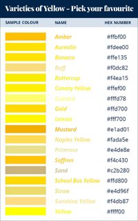 Should you use Yellow as your Branding Colour? – thetemplateemporium.com