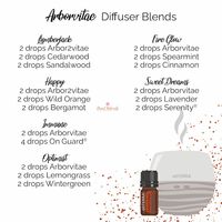 Snag a checklist of 33 ways to use Arborvitae essential oil, plus diffuser blends, rollerball recipes, diy recipes and emotional benefits of Arborvitae oil. Learn all about the benefits of this wood oil, where it's sourced and comes from, and how to use arborvitae essential oil in your daily routine. Features doTERRA arborvitae oil and will also apply to young living arborvitae as well as revive and other essential oil brands. doTERRA Young Living