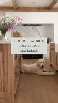 Take a look at four of our favorite countertop materials! Which one is your favorite? Get inspired by this video to create the perfect modern living space in your own home with the help of House of Jade! Our home decor and home accessories are sure to be loved by all! Copy the link to start shopping. https://www.houseofjadehome.com/collections/accessories