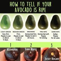 Avocado - ripeness