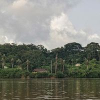 The jewel in Gabon's crown, Loango is the country's most famous park, home to the unique convergence of coastal and jungle habitats.