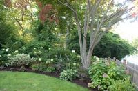 Less Lawn More Garden - eclectic - landscape - new york - Westover Landscape Design, Inc.